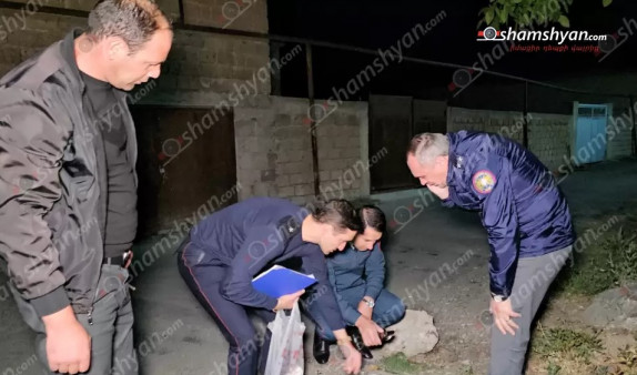 article-image
